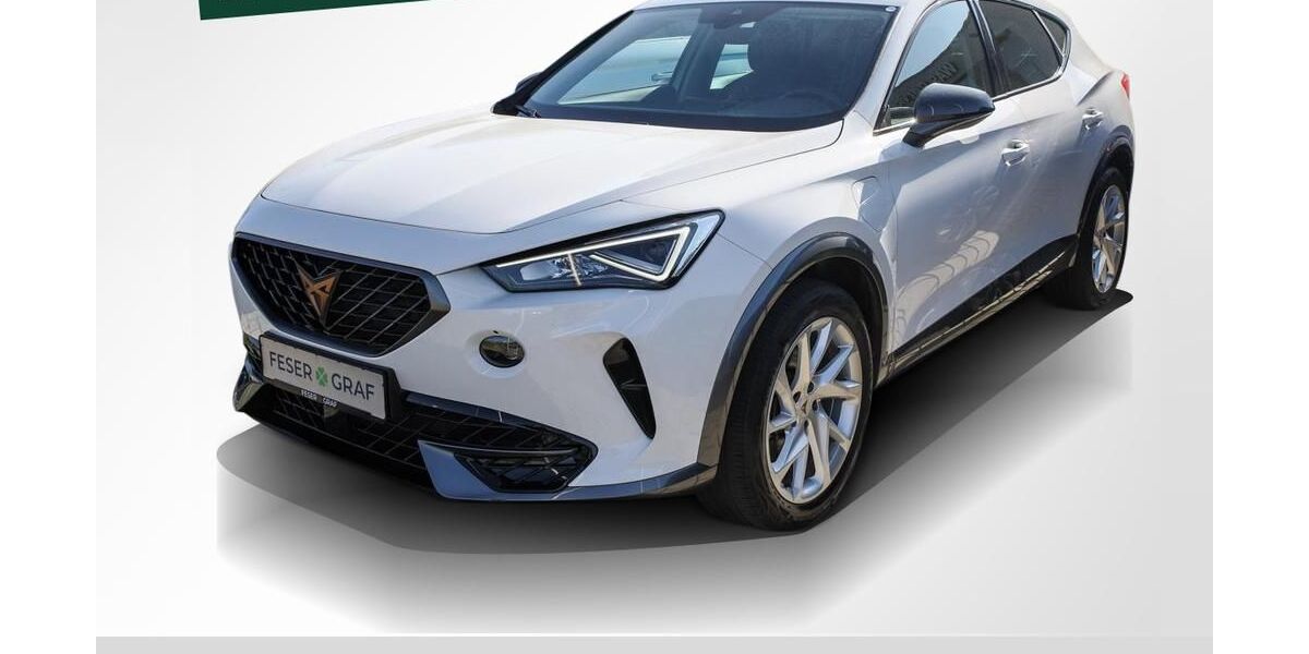 Cupra Formentor 47.250 km 21.840 &euro; Herzogenaurach 91074