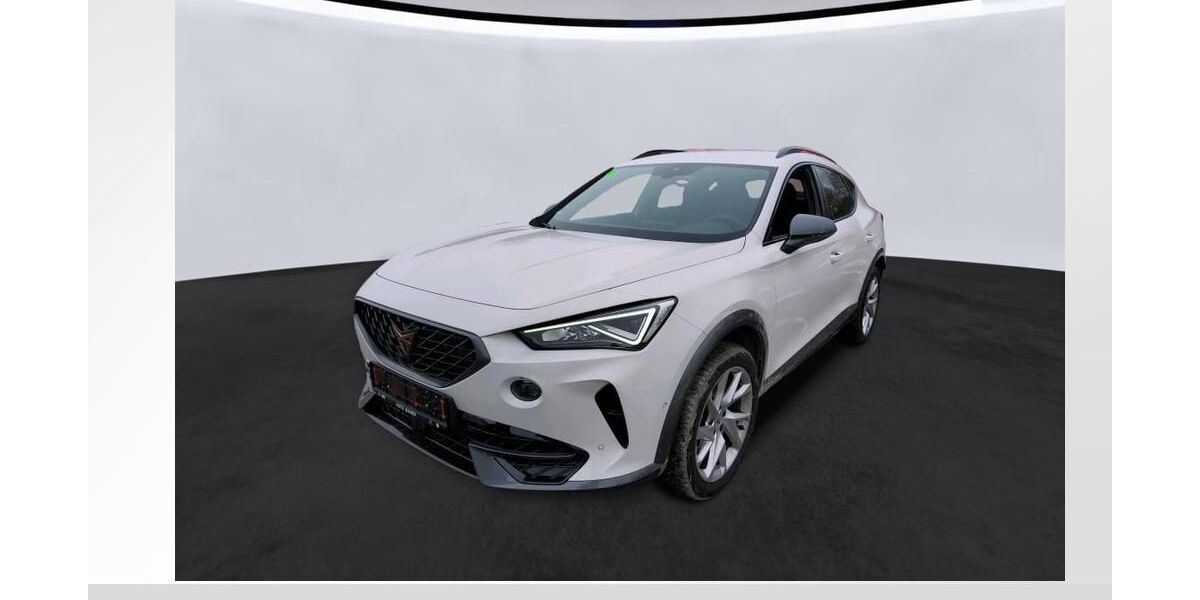 Cupra Formentor 18.150 km 24.750 &euro; Lauf an der Pegnitz 91207