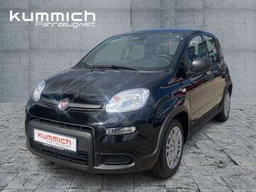 Gebrauchte Fiat Panda