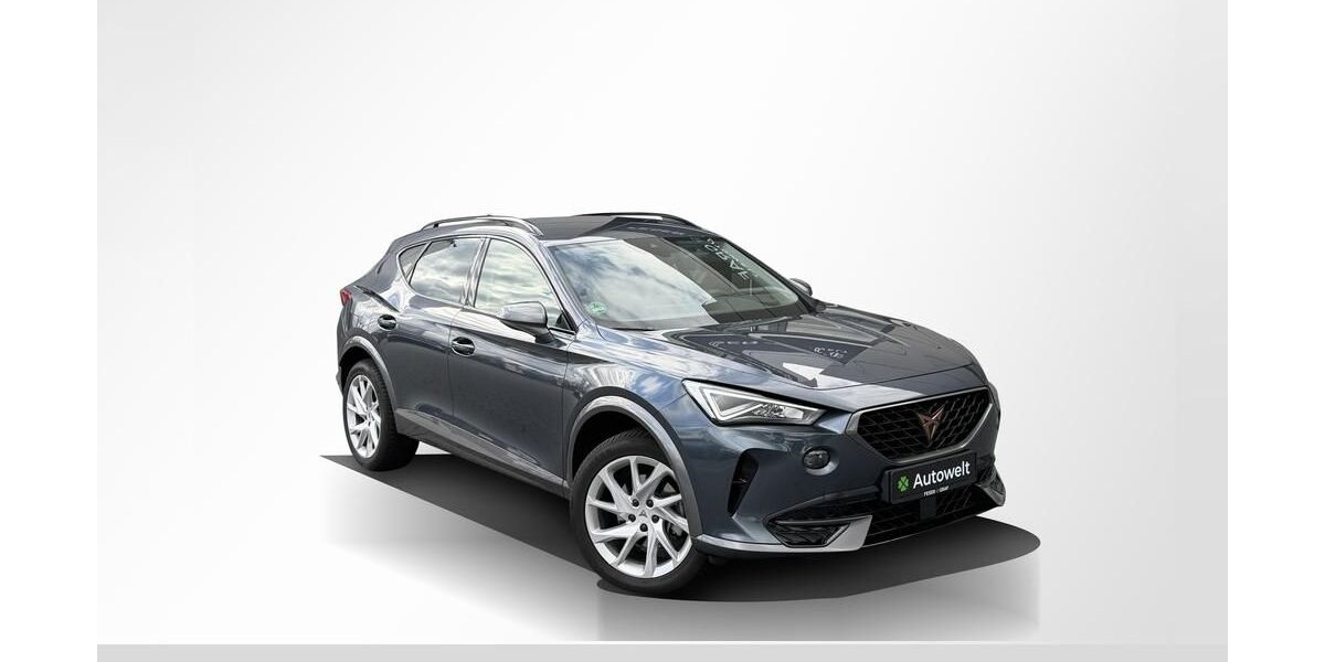 Cupra Formentor 36.000 km 25.490 &euro; Roth 91154