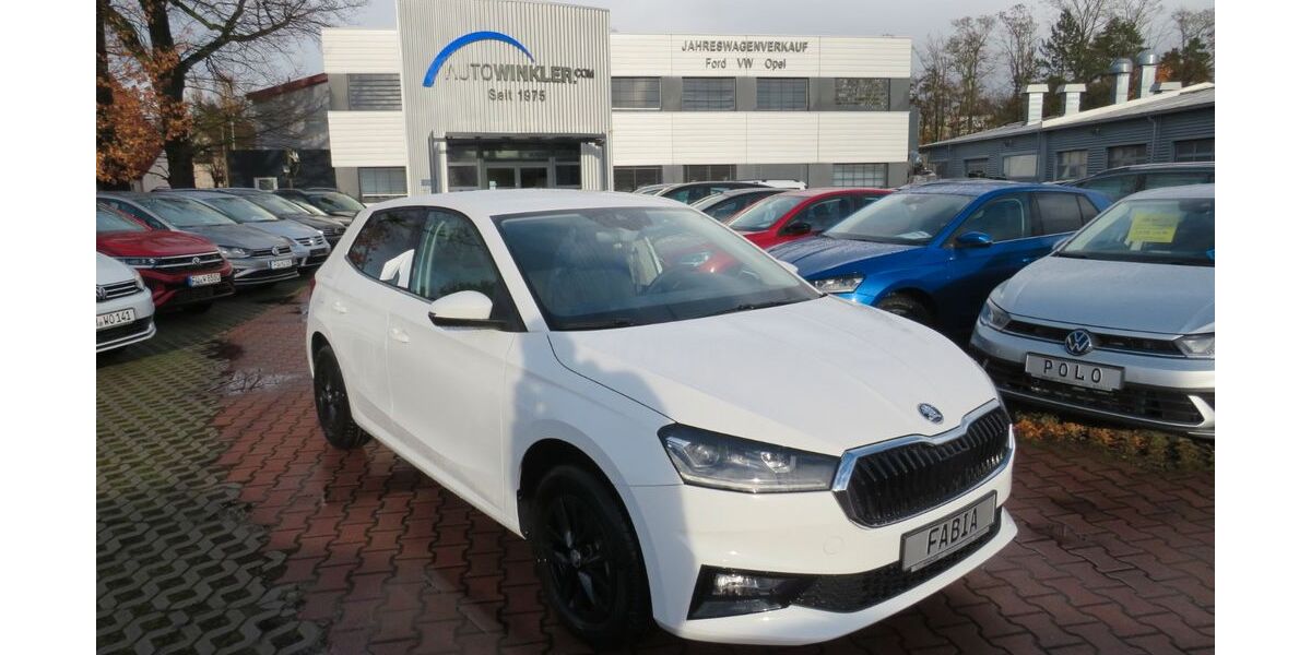 Skoda Fabia 28.950 km 16.990 &euro; Nürnberg 90431