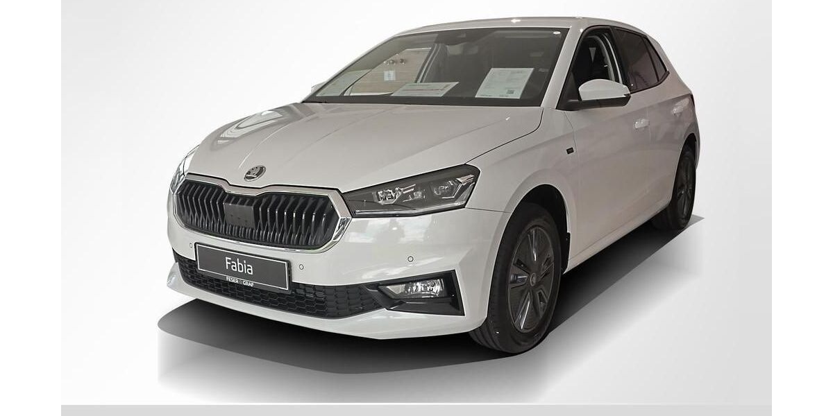 Skoda Fabia 11.000 km 20.490 &euro; Forchheim 91301