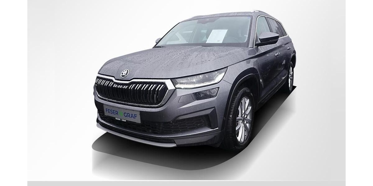 Skoda Kodiaq 76.251 km 32.750 &euro; Lauf an der Pegnitz 91207