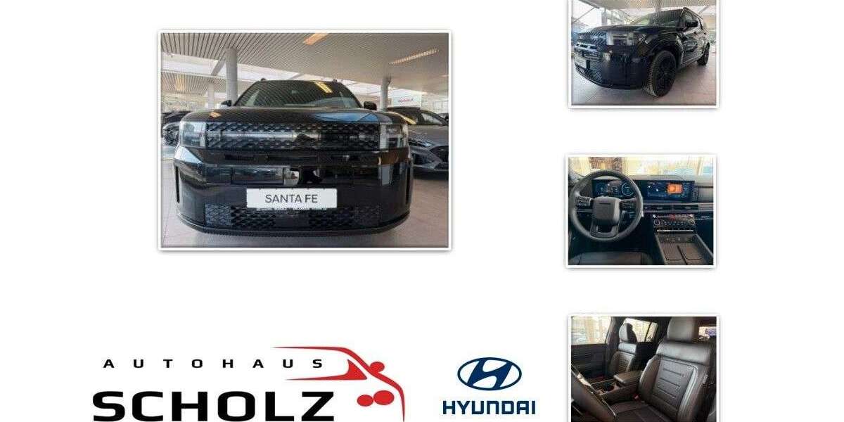 Hyundai SANTA FE 2.000 km 59.980 &euro; Erlangen 91056