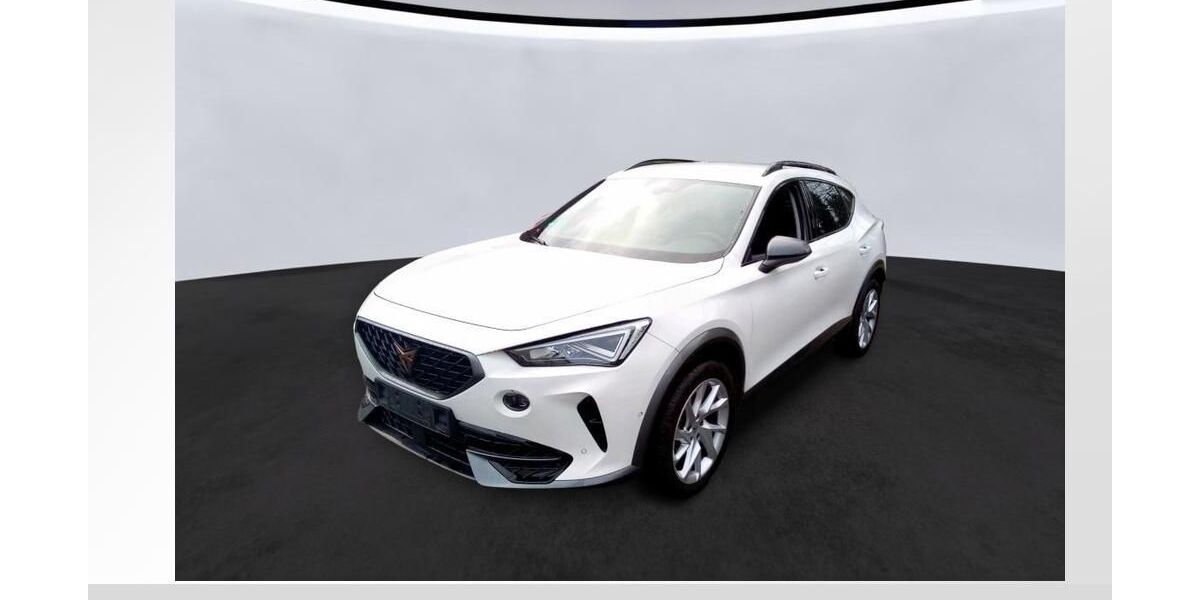 Cupra Formentor 31.350 km 25.450 &euro; Lauf an der Pegnitz 91207