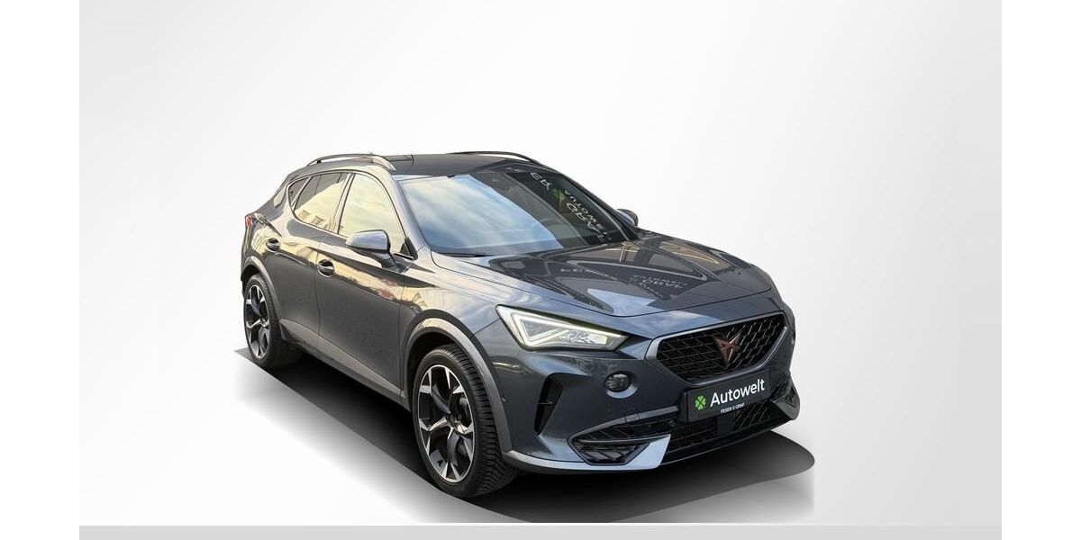 Cupra Formentor 70.990 km 23.890 &euro; Roth 91154