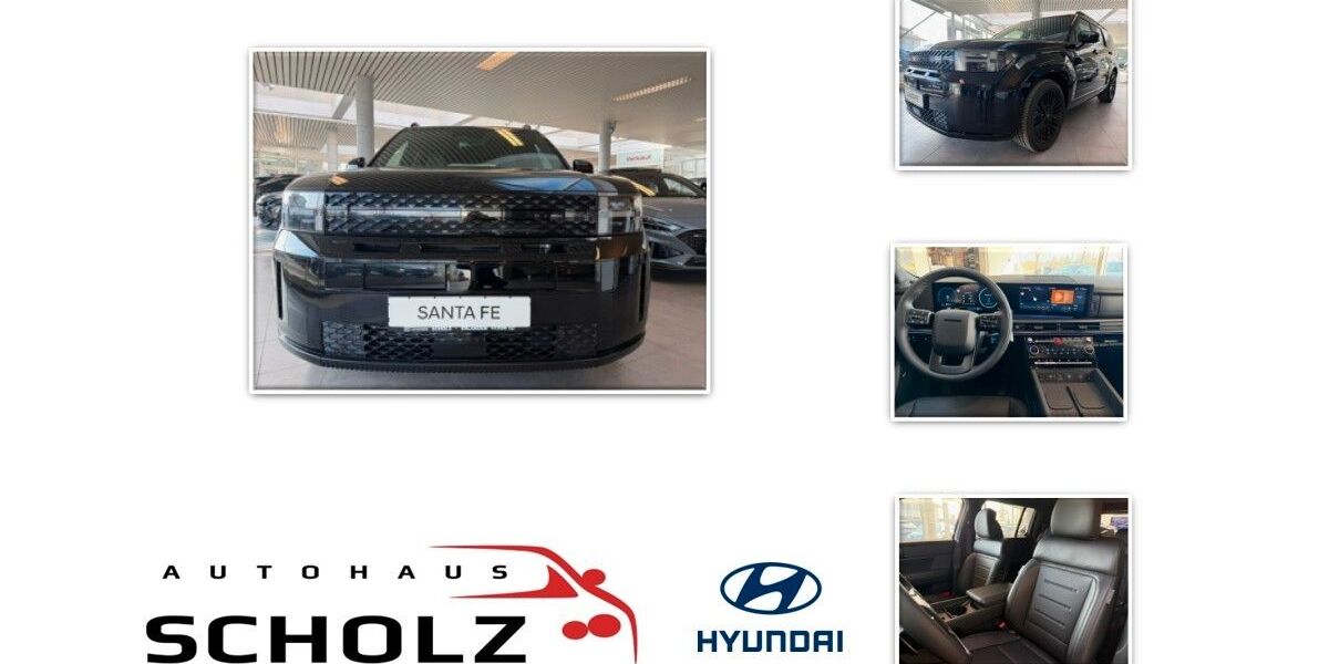 Hyundai SANTA FE 2.000 km 59.980 &euro; Erlangen 91056