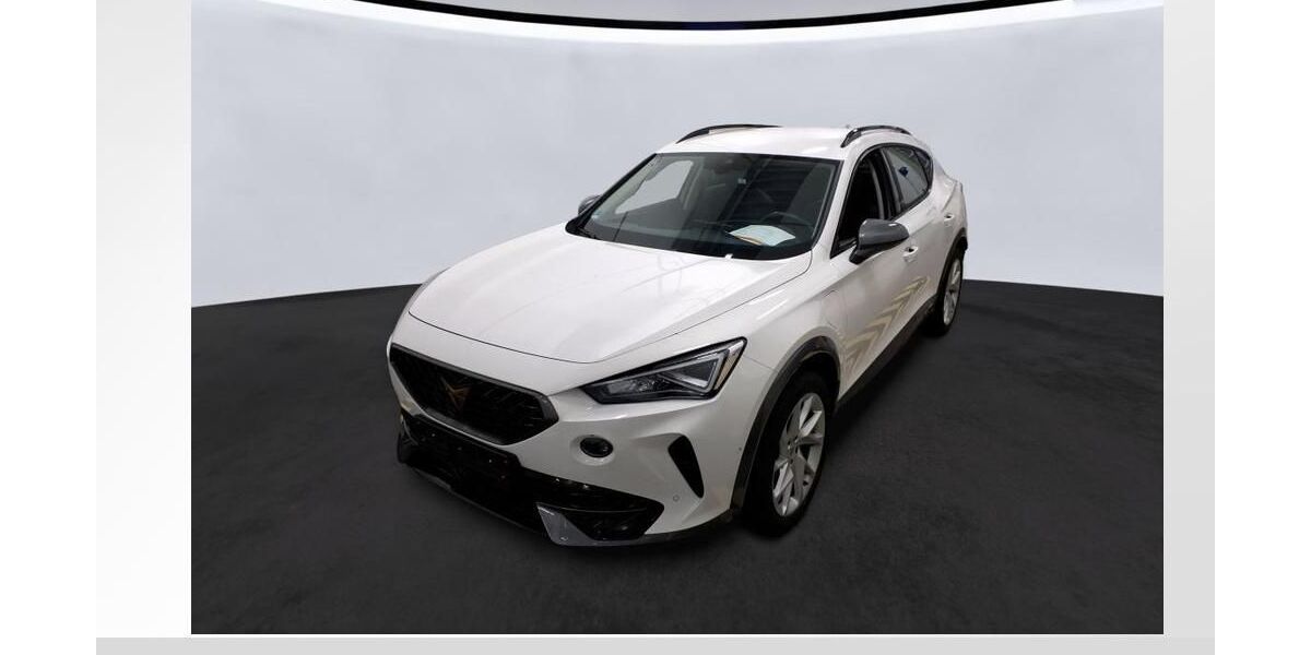 Cupra Formentor 26.350 km 24.950 &euro; Lauf an der Pegnitz 91207