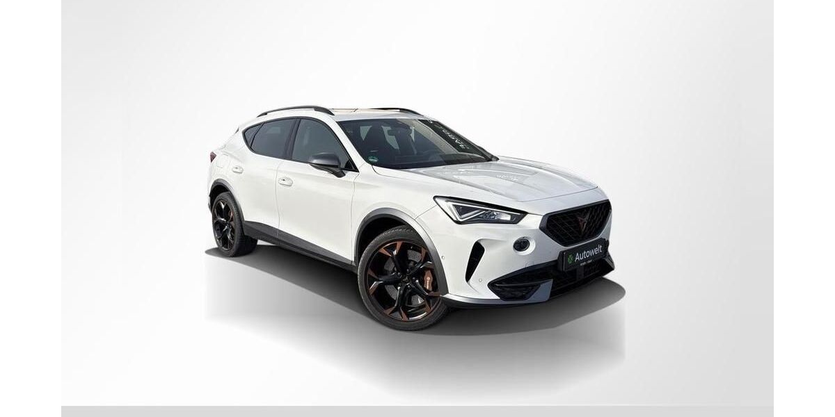 Cupra Formentor 49.600 km 25.490 &euro; Roth 91154