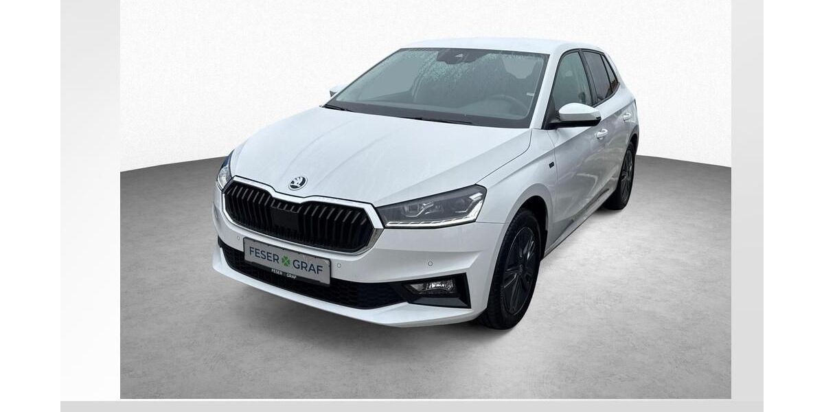 Skoda Fabia 2.900 km 18.780 &euro; Roth 91154