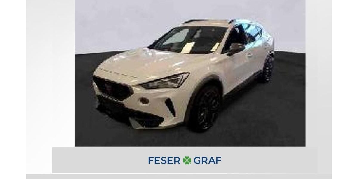 Cupra Formentor 17.199 km 29.204 &euro; Lauf an der Pegnitz 91207