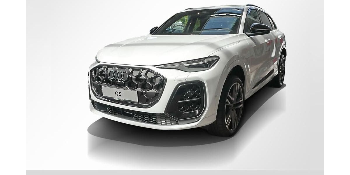 Audi SQ5 10.000 km 87.850 &euro; Erlangen 91058