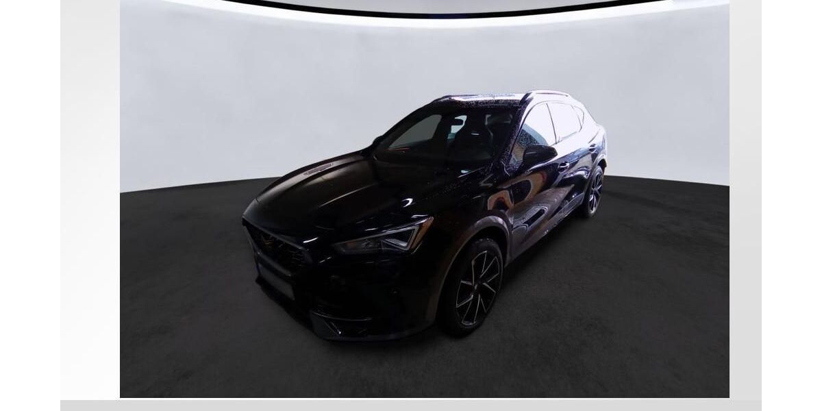 Cupra Formentor 122.800 km 24.490 &euro; Roth 91154