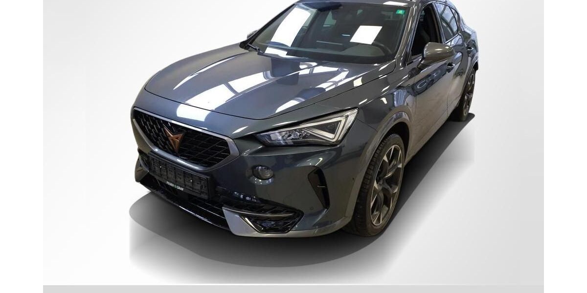 Cupra Formentor 76.250 km 22.980 &euro; Roth 91154