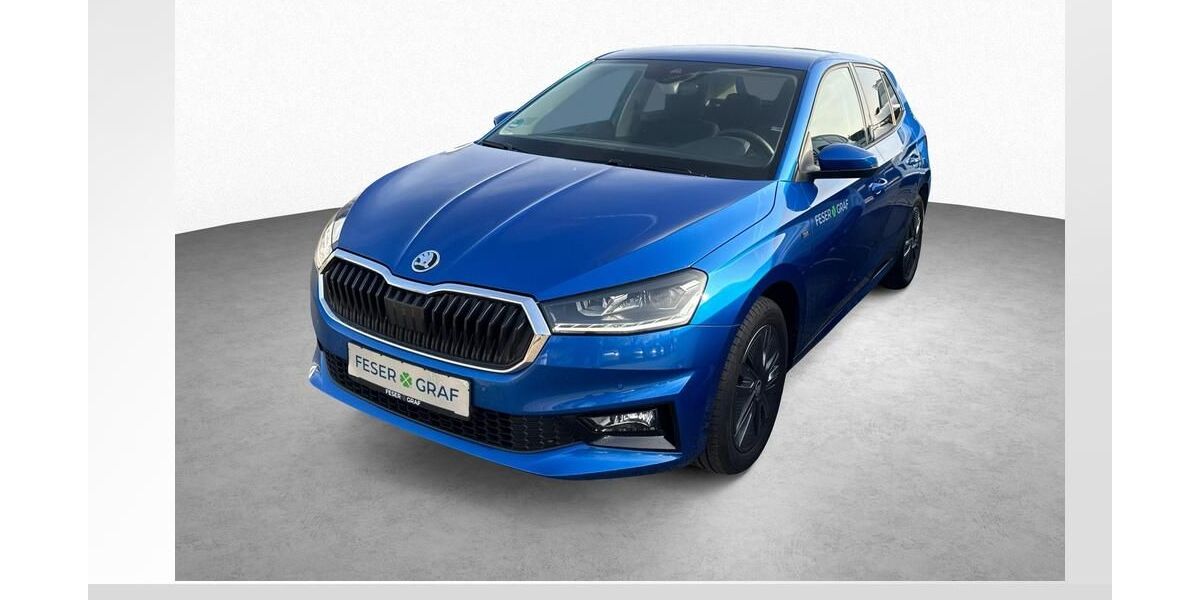 Skoda Fabia 4.900 km 19.980 &euro; Roth 91154